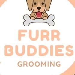 Buddies sales pet spa