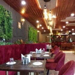 Trending Restaurants in Aurangabad Bihar - Places to Eat | Justdial