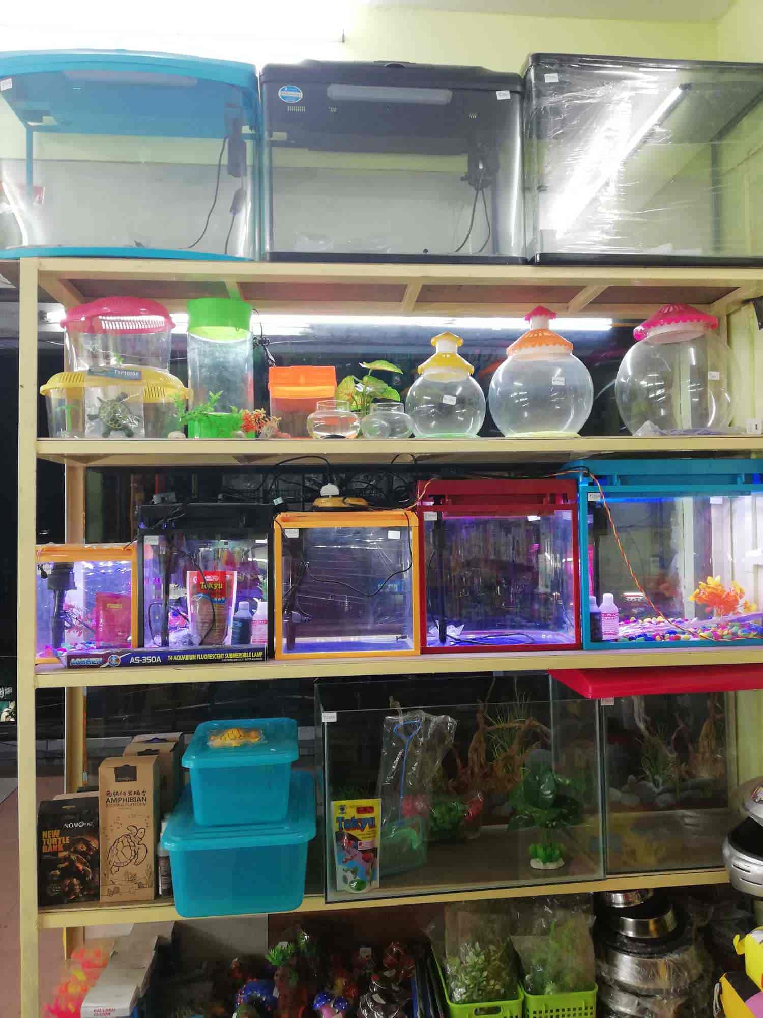 fish bowl shop near me