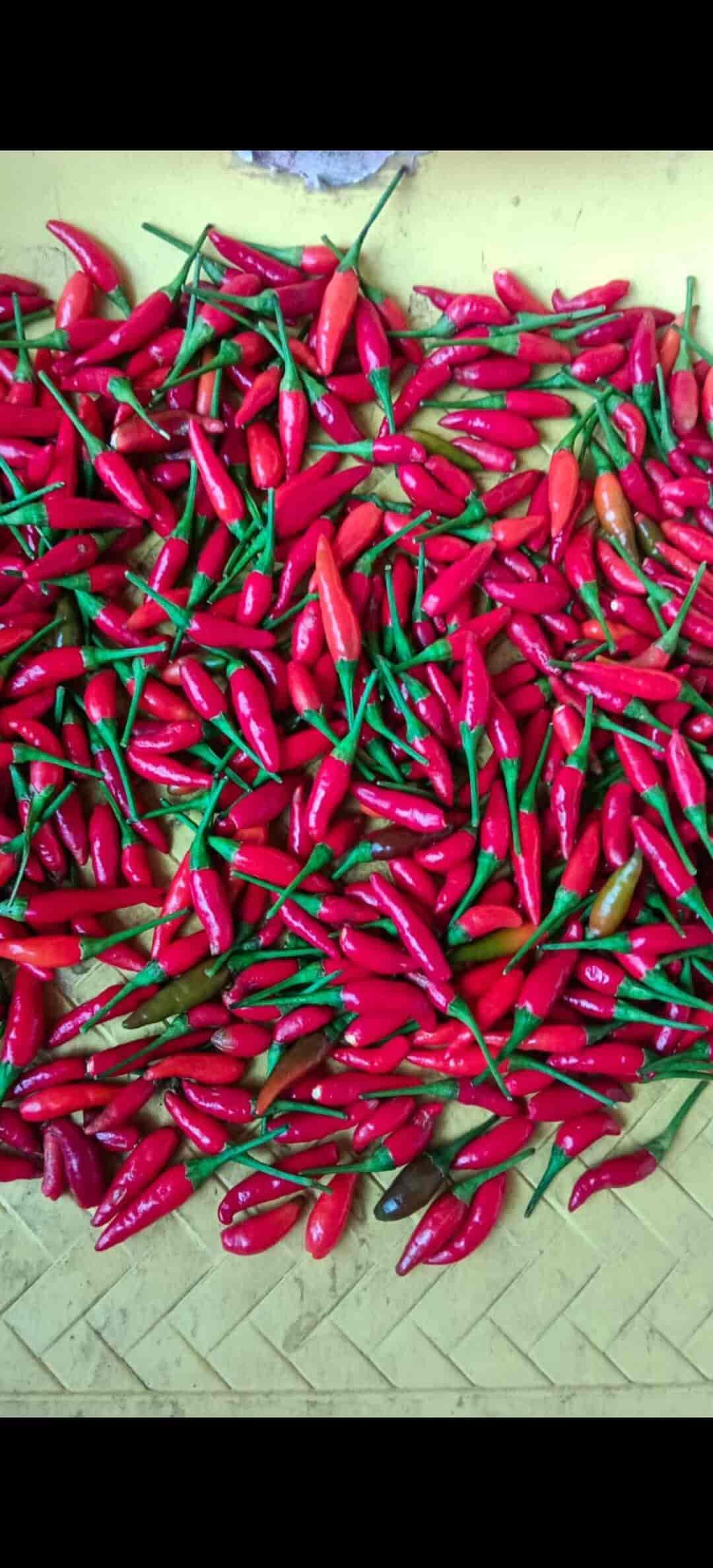 Top Vegetable Wholesalers in Waluj MIDC Best Fresh Vegetables