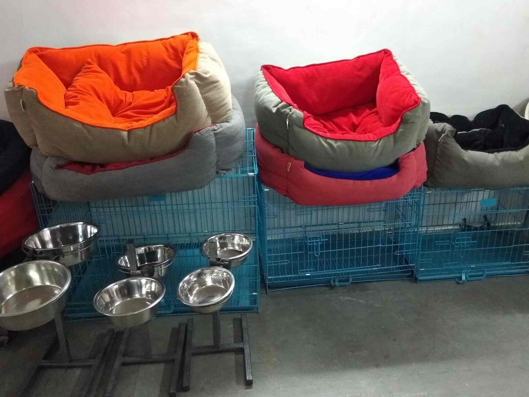 Pet Passion in Cidco,Aurangabadmaharashtra Best Pet Shops For Dog in