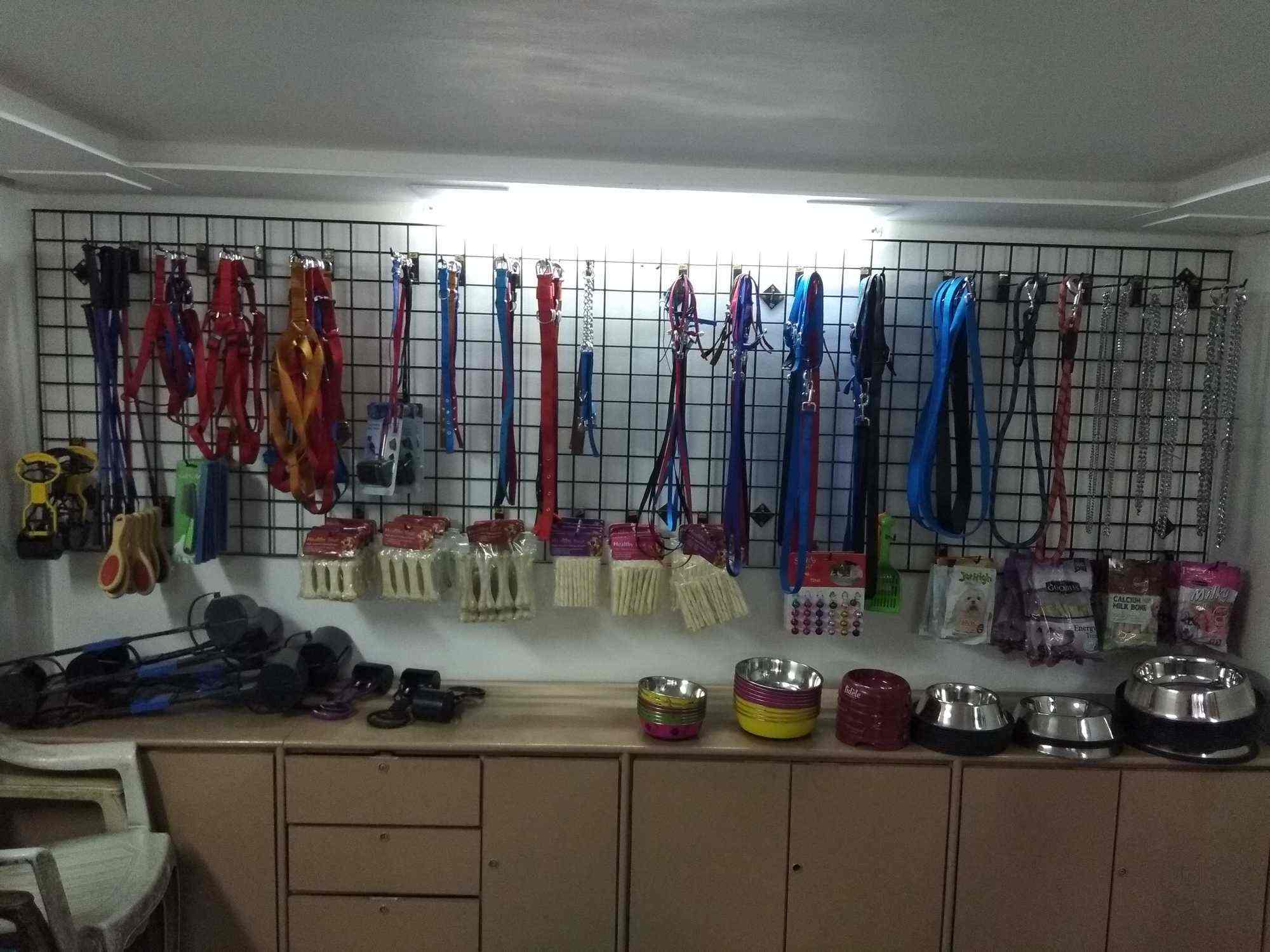 Pet Passion in Cidco,Aurangabadmaharashtra Best Pet Shops For Dog in