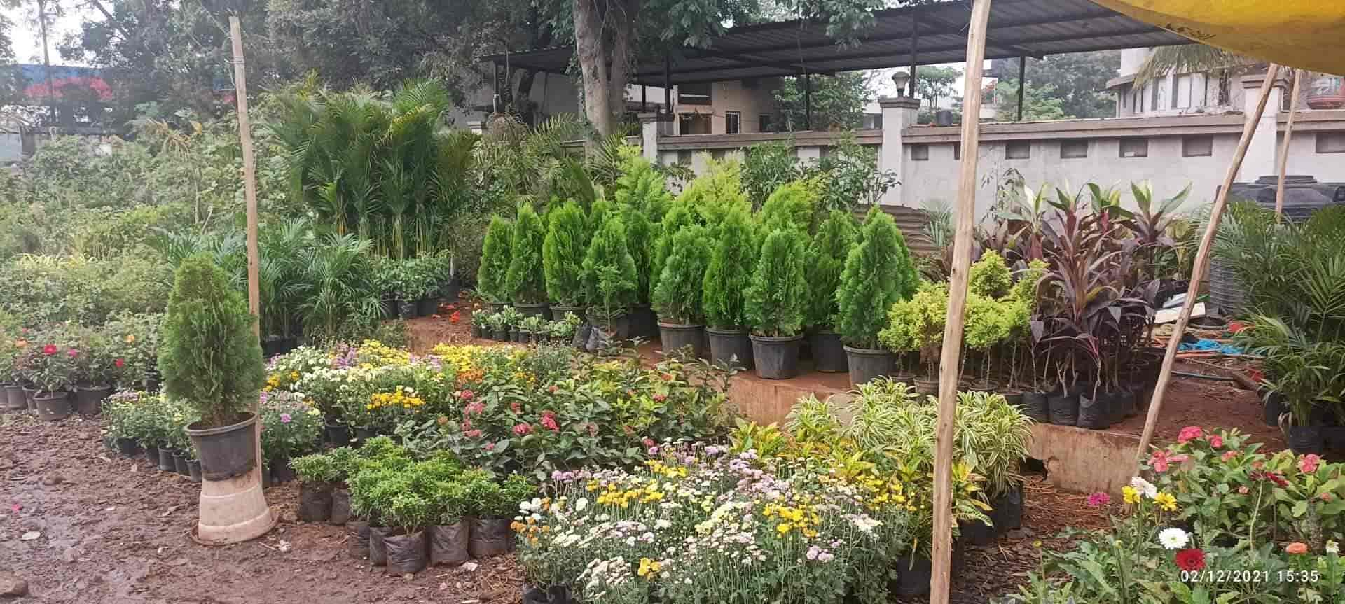 Balaji Nursery in Chikalthana,Aurangabadmaharashtra Best Anjoplus