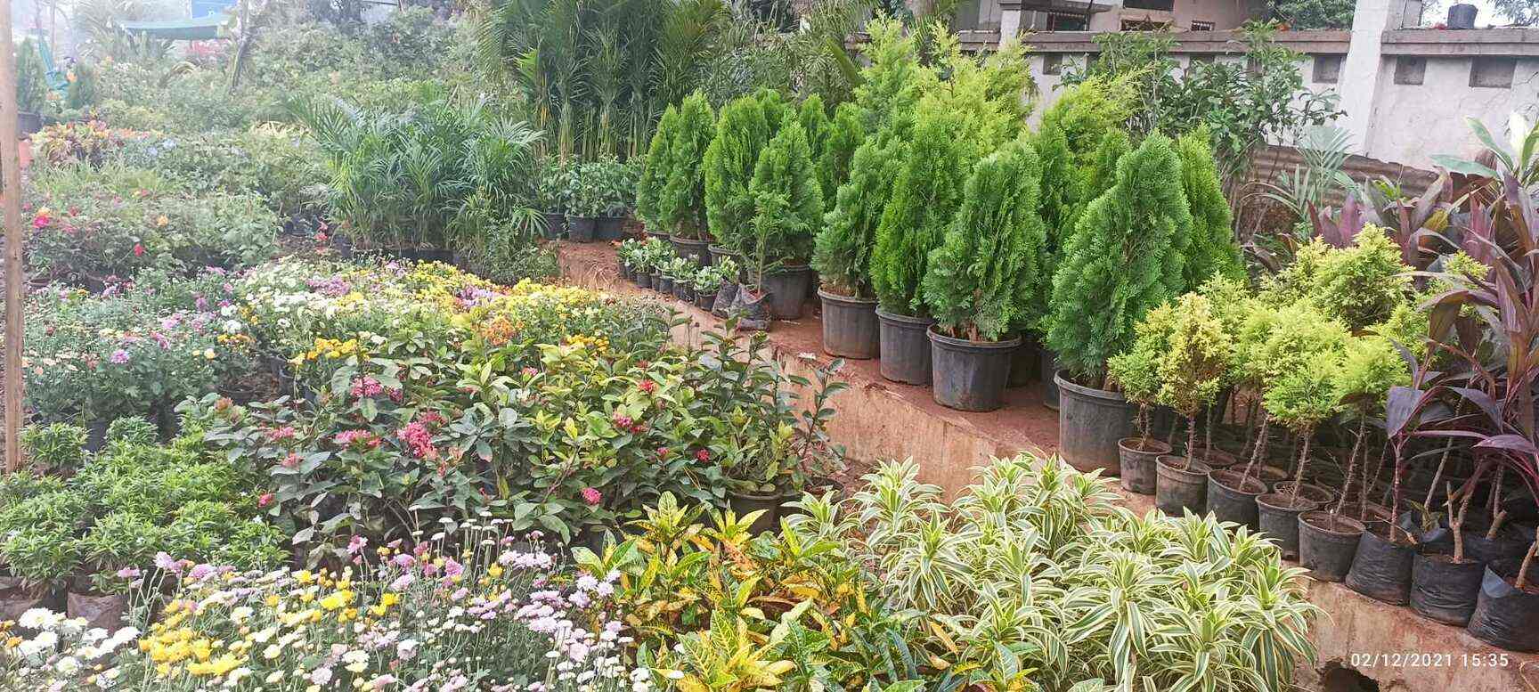 Balaji Nursery in Chikalthana,Aurangabadmaharashtra Best Anjoplus