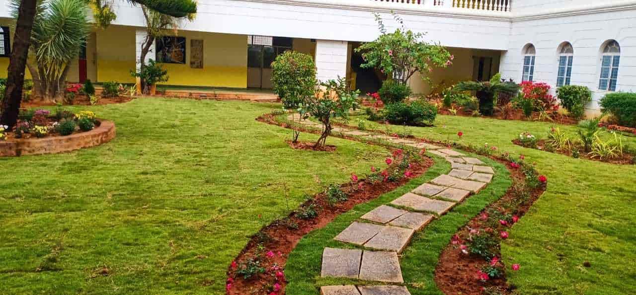 Top 50 Fruit Plant Nurseries in AurangabadMaharashtra Best Custard