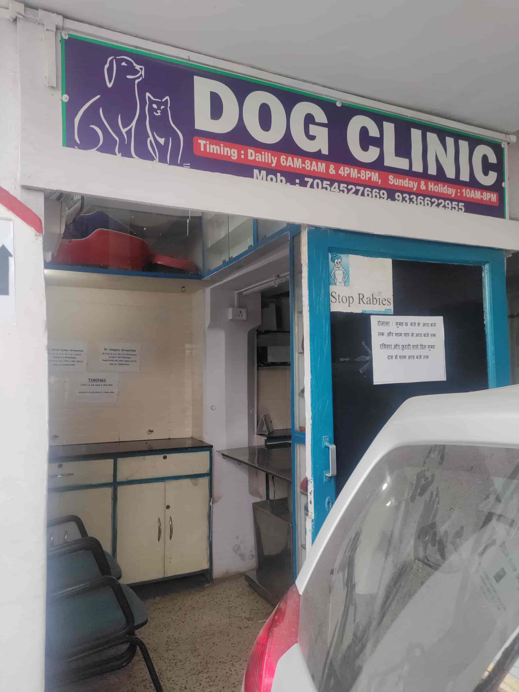 Top Pet Clinics in Ayodhya Best Veterinary Clinic near me Justdial