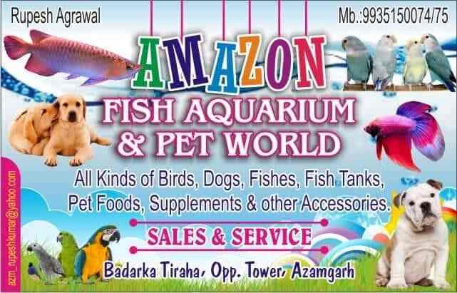 bird world pet store