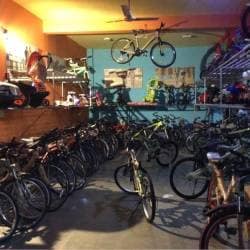 Dickson bike shop hot sale