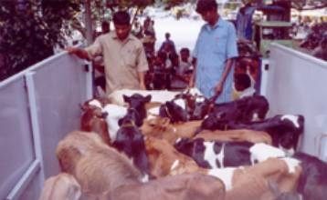Karuna Animal Shelter in Hebbal,Bangalore - Best Welfare Organisations in Bangalore - Justdial Karuna Animal Shelter in Hebbal,Bangalore - Best Welfare Organisations in Bangalore - Justdial