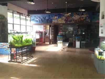 Aquarium shop clearance in koramangala