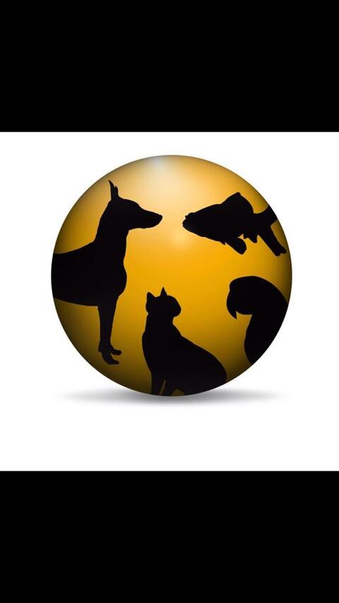 Pet planet royal canin discount
