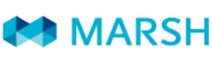 mzyrh company