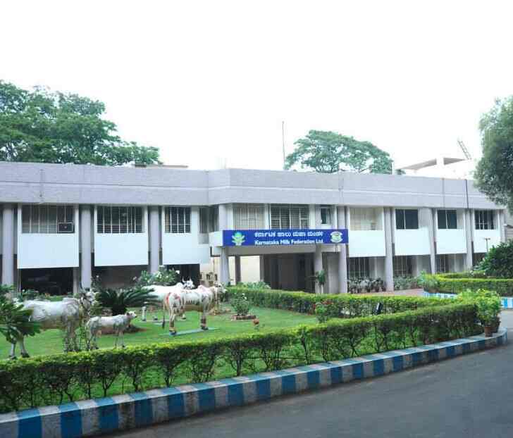 Top Milk Dairy in Bangalore Best Doodh Wala near me Justdial