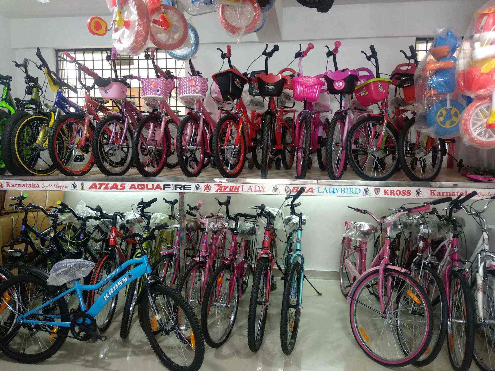 avon lady bird cycle