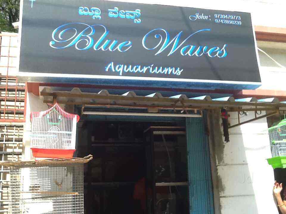 Catalogue Blue Waves Aquariums in Kumaraswamy Layout 1st Stage