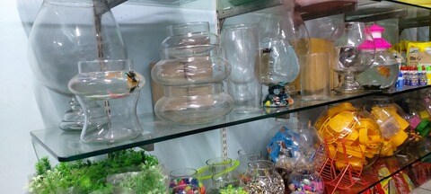 Hiba discount pet world