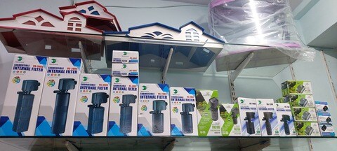 Hiba clearance pet world