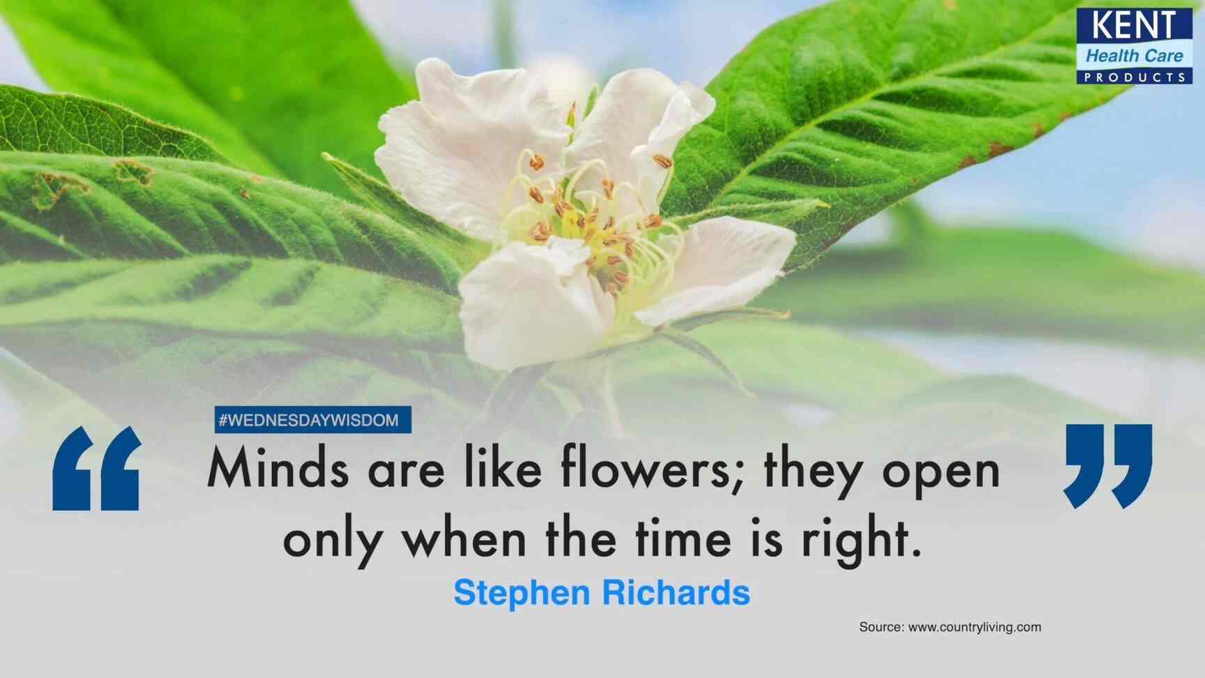 Top Kent Water Purifier Dealers in Dindigul Best Kent Water Filter