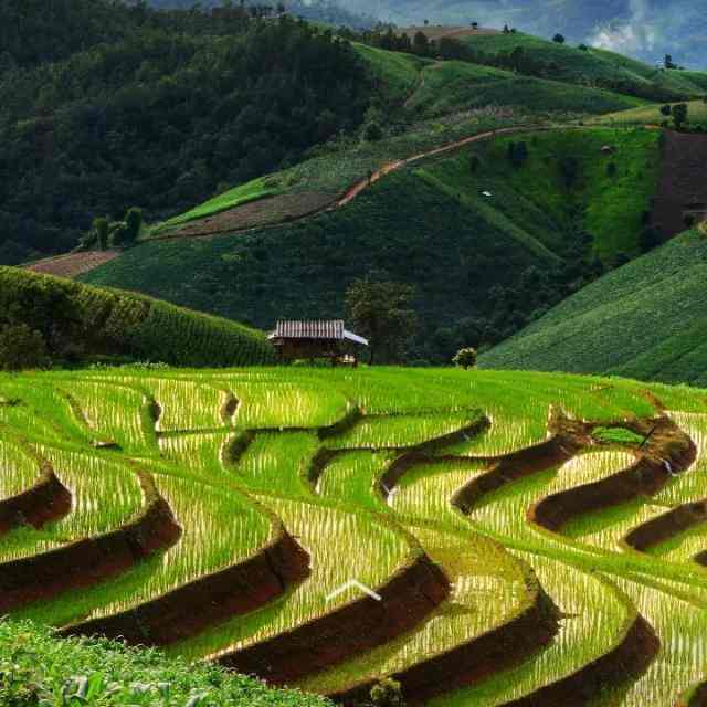 Avinash Gardens in Varthur,Bangalore Best Gardening Services in Bangalore Justdial