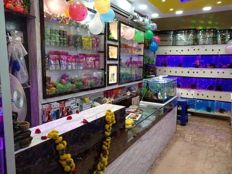 Aquarium shop in hotsell whitefield