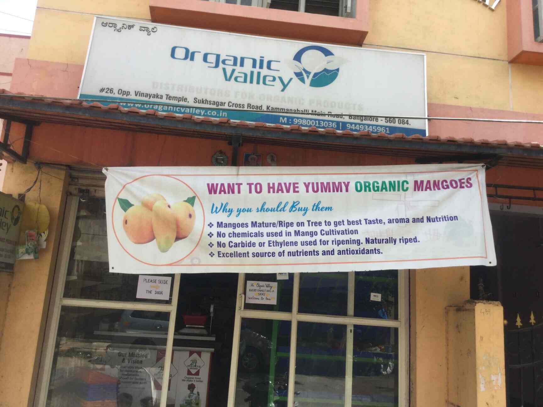 Top Organic Millet Dealers in Pai Layout Best Organic Millet