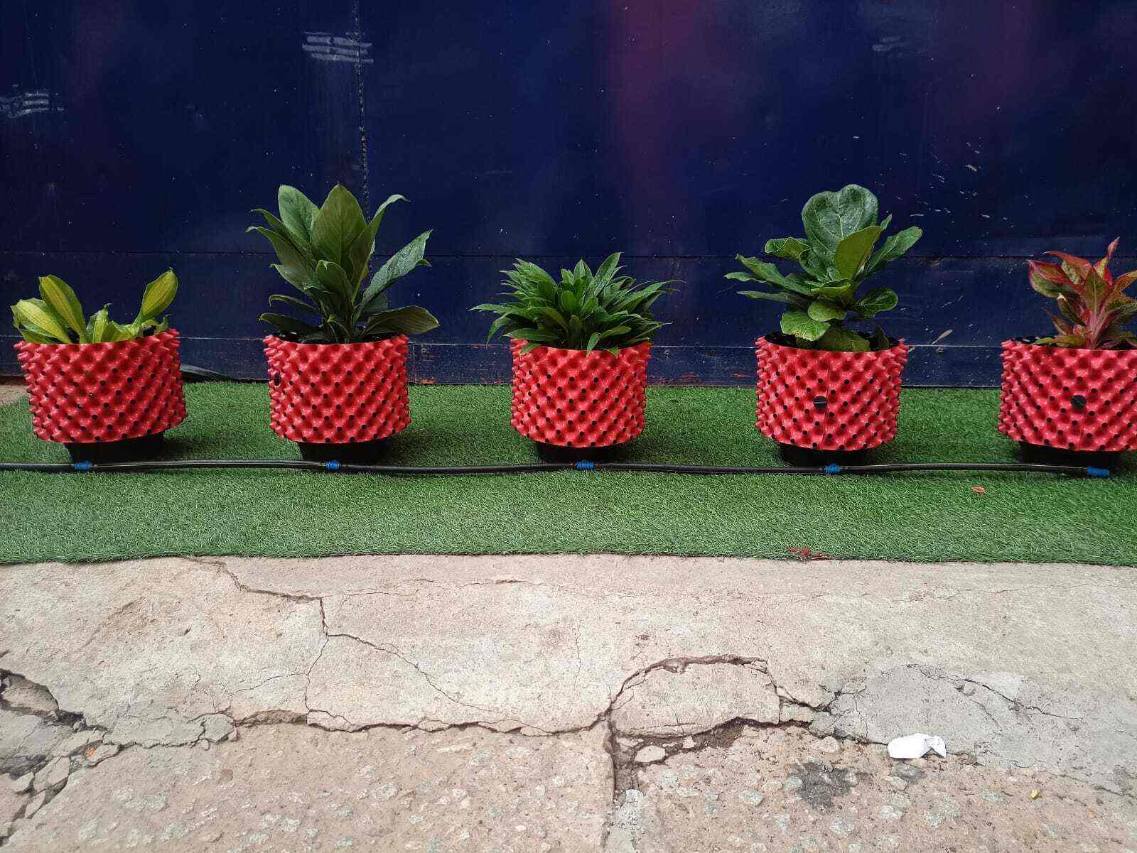 Top Coir Coco Peat Manufacturers in Wayanad कोयर कोको पीट मनुफक्चरर्स