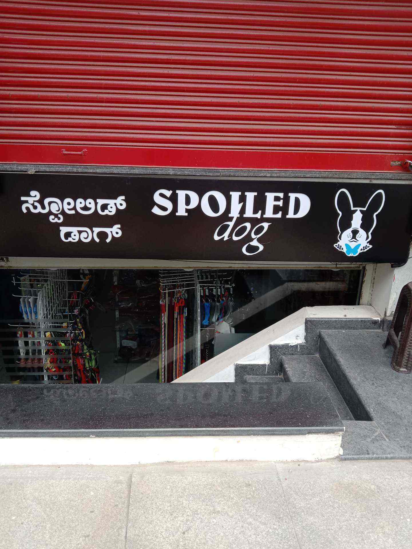 Spoiled Dog in HSR Layout Sector 2,Bangalore Best Pet Food Dealers in
