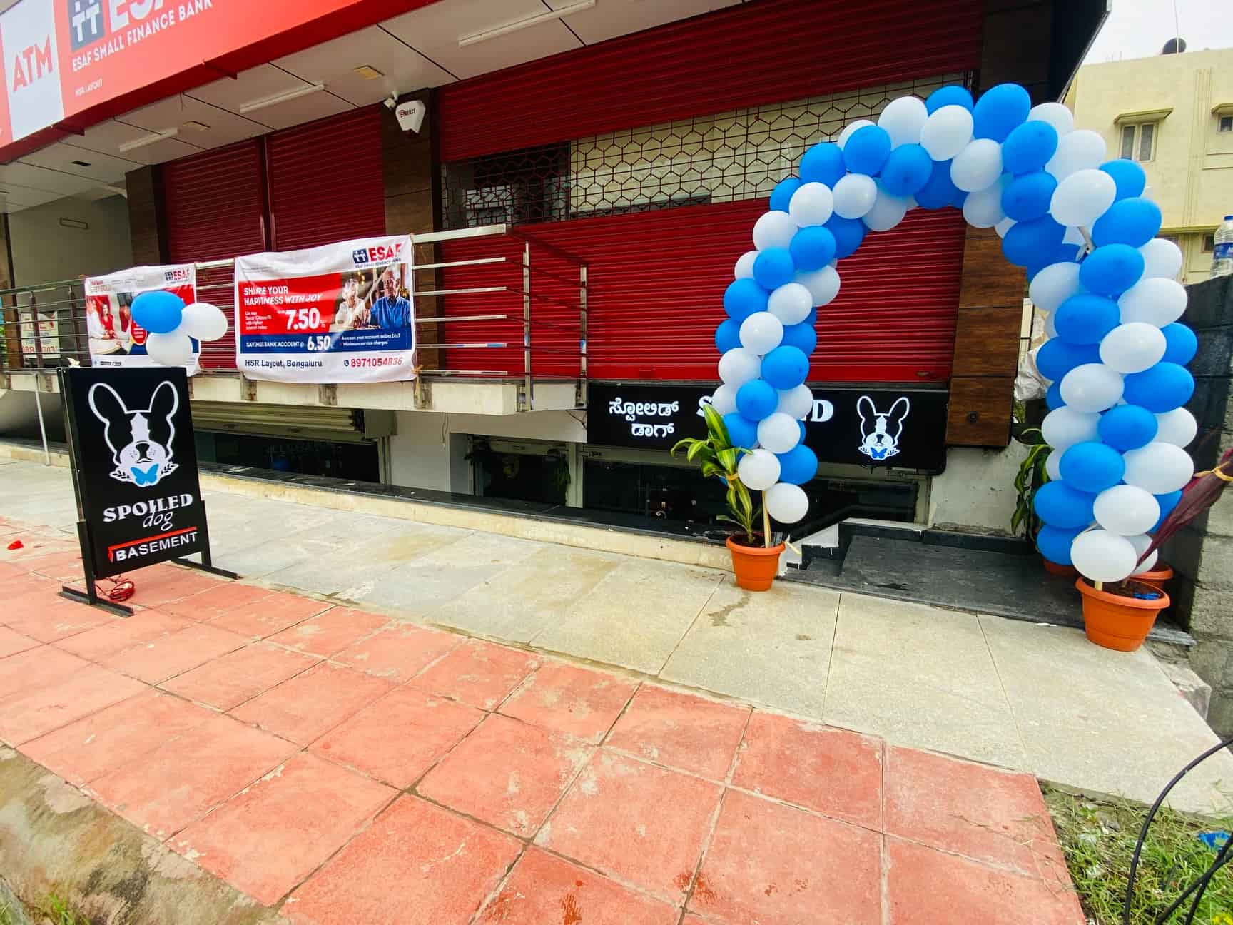 Spoiled Dog in HSR Layout Sector 2,Bangalore Best Pet Food Dealers in