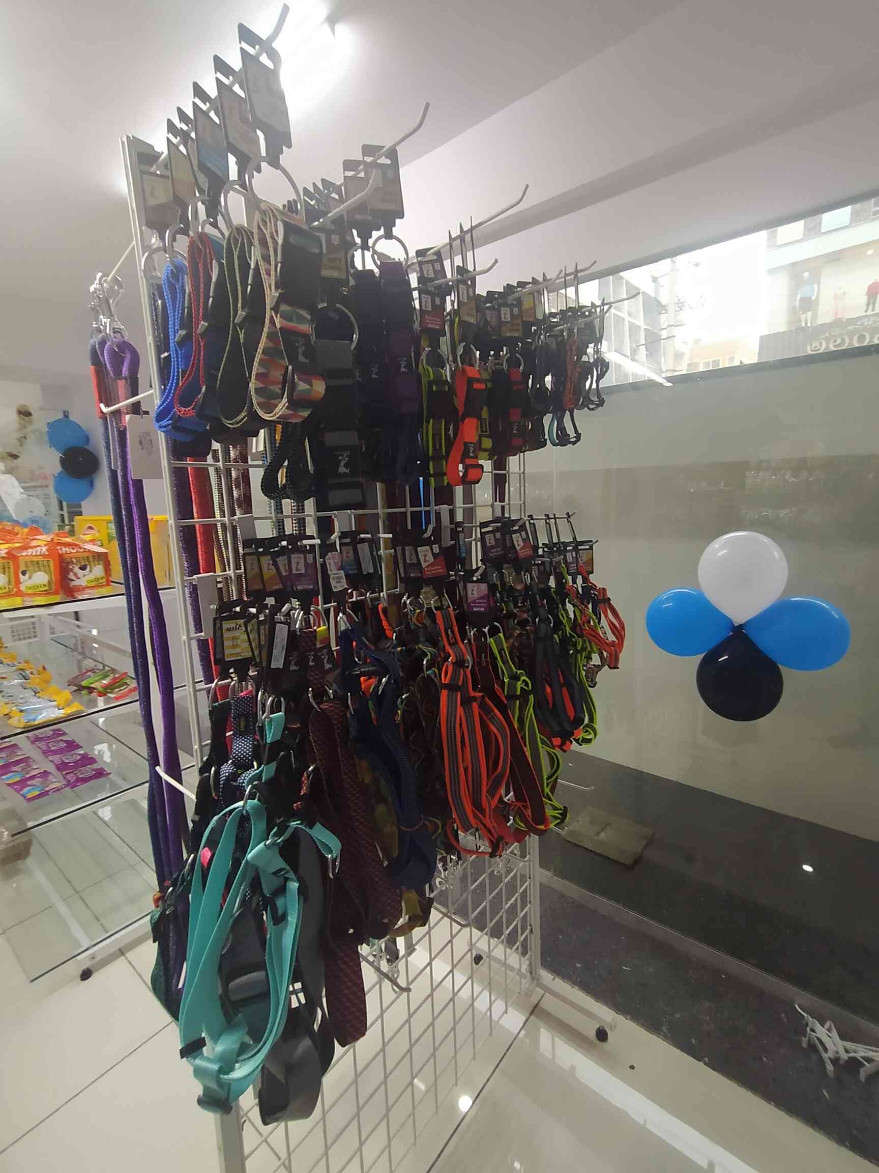 Spoiled Dog in HSR Layout Sector 2,Bangalore Best Pet Food Dealers in