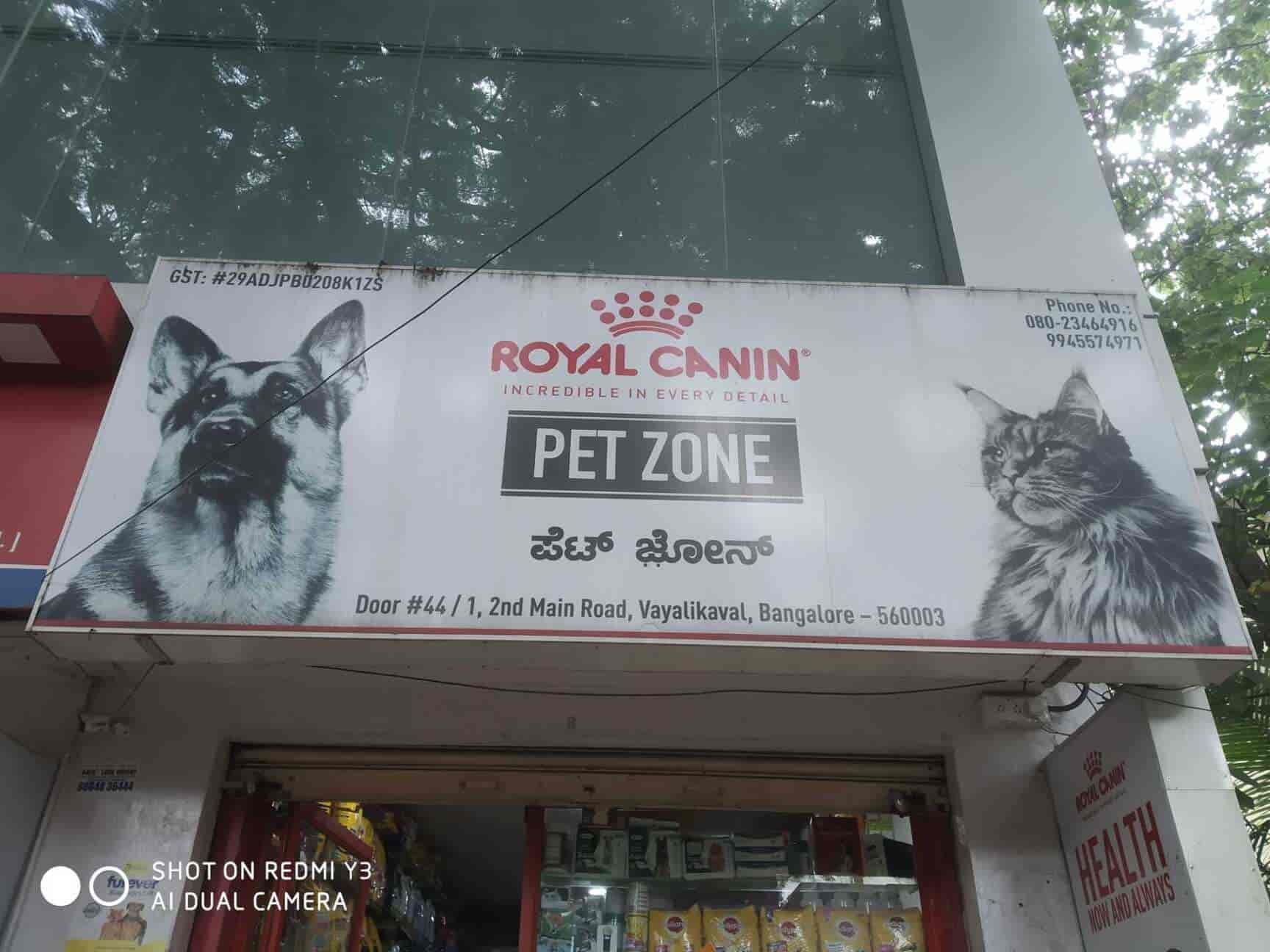 Pet shop near me now online