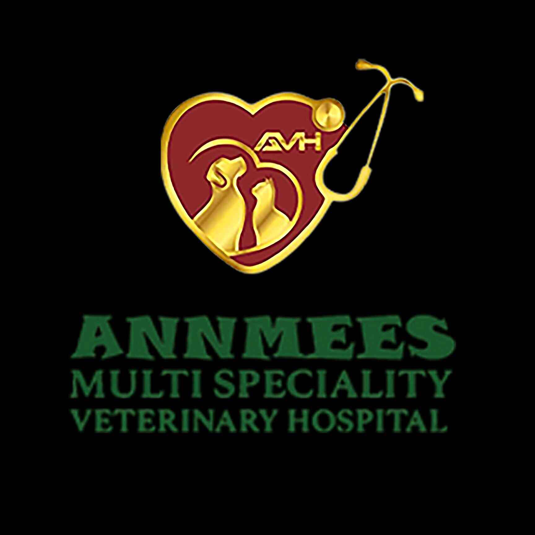 Top Public Veterinary Hospitals in Sunkadakatte Best Government