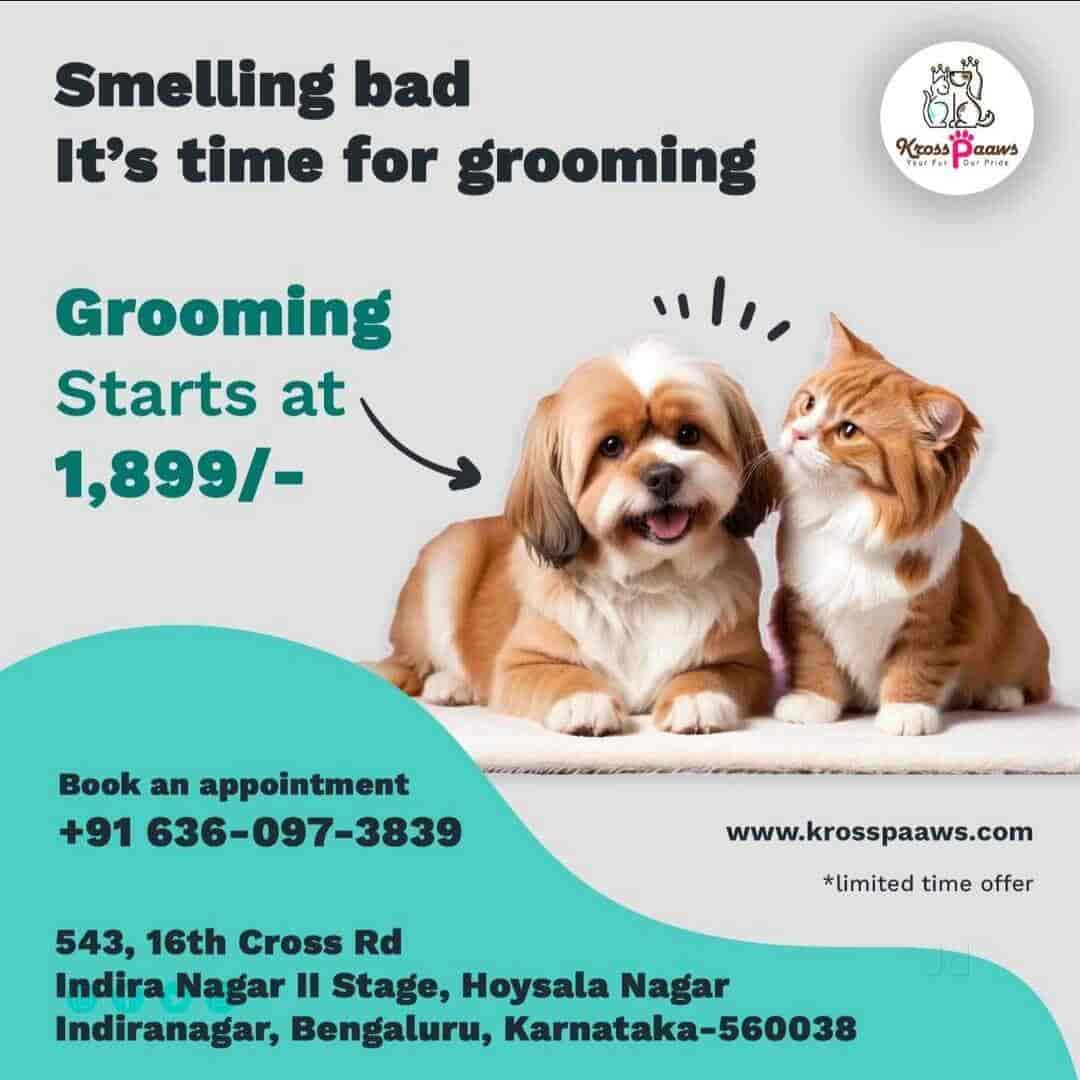 Top Dog Hair Cutting Services in Bangalore Justdial