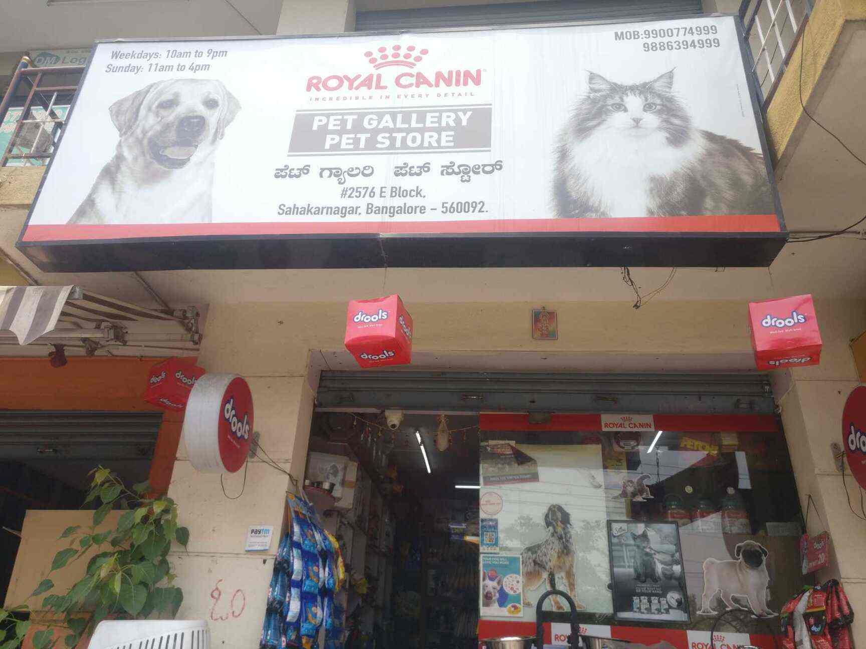 Pet Gallery, Sahakara Nagar Pet Shops For Dog in Bangalore Justdial