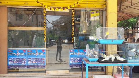 Pet shop in electronic city sale phase 1
