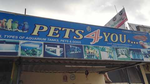 Pet shop discount near electronic city