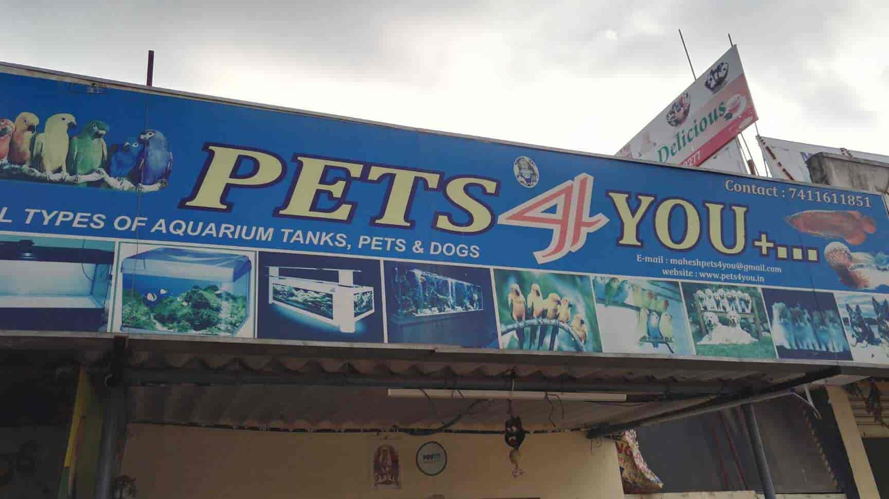 pet shop near electronic city