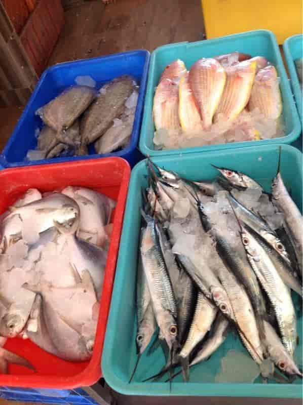 Top Dry Fish Retailers in Yelahanka, Bangalore near me Justdial