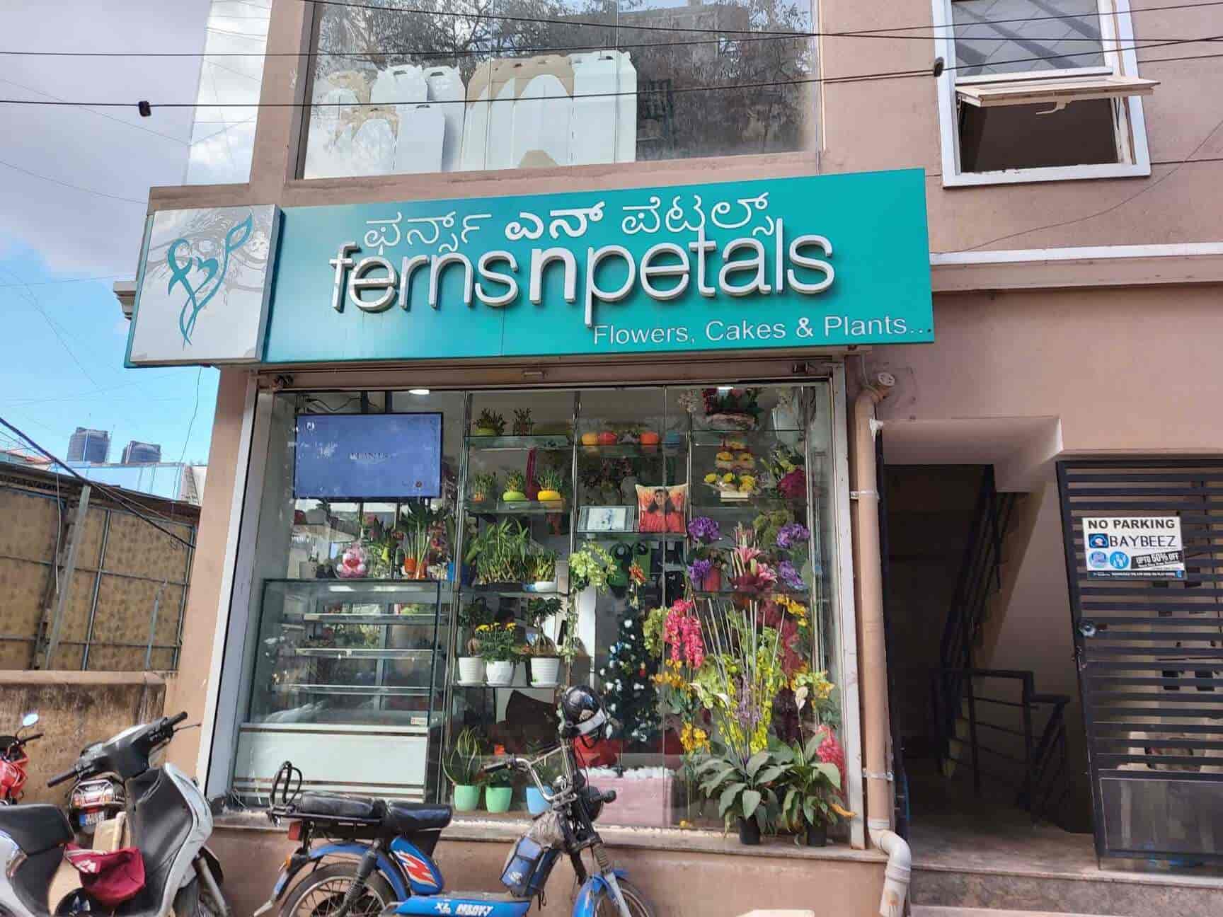 Ferns And Petals Bangalore atelieryuwa.ciao.jp