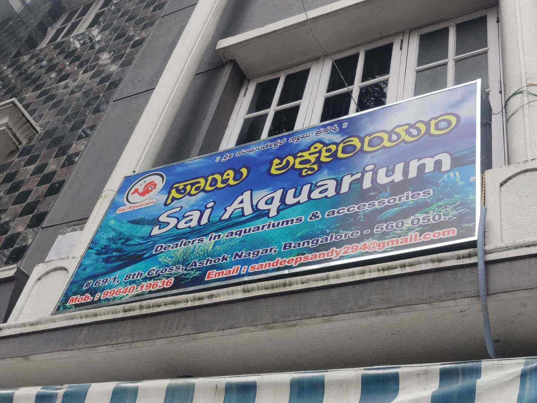 Sai Aquarium in Banashankari 1st Stage,Bangalore Best Aquarium
