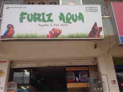 Top 10 Pet Shops For Birds In Koramangala Best Bird Shops Bangalore Justdial