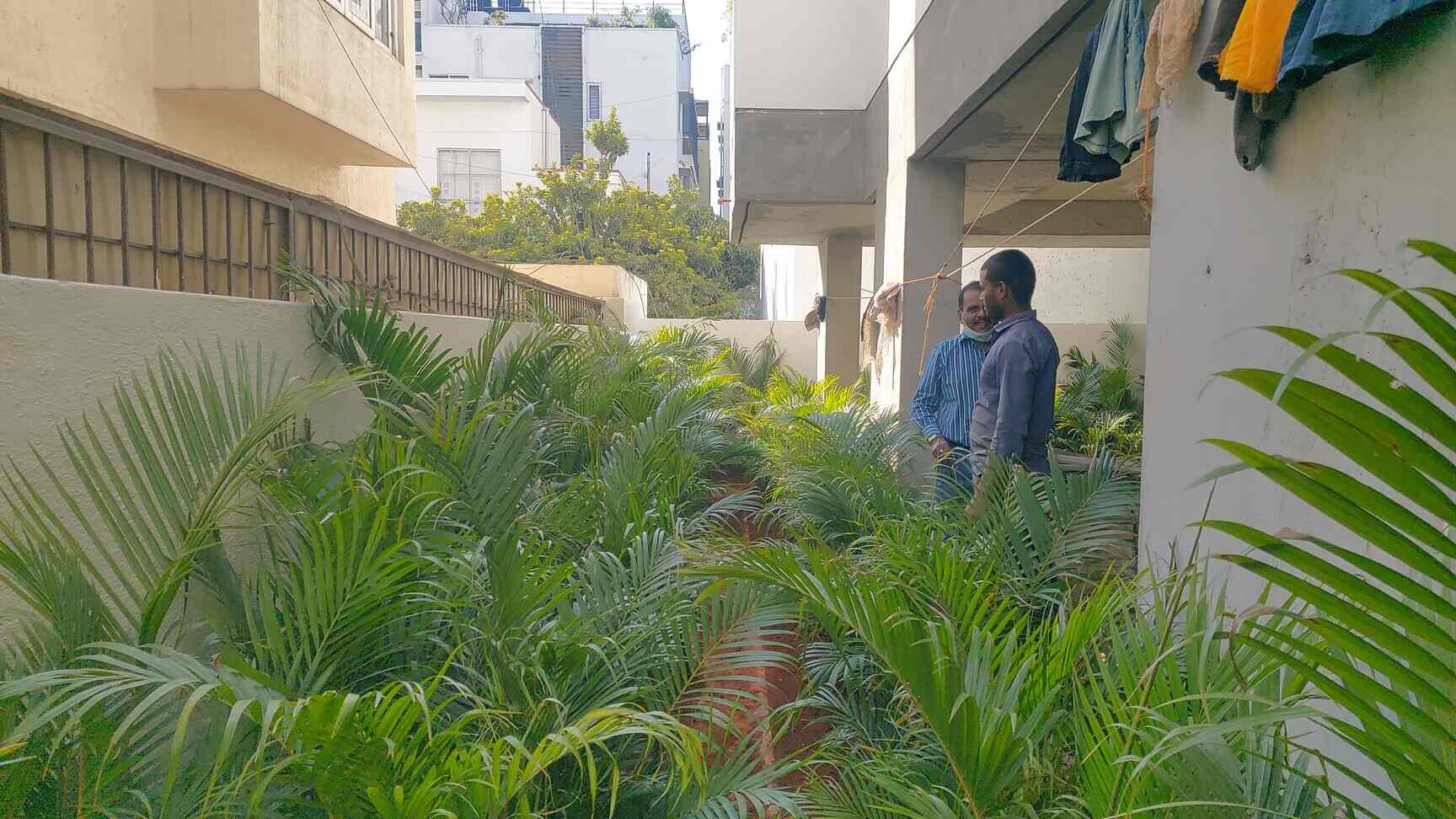 Catalogue S M Enterprises Coir Fiber And Cocopeat in Horamavu