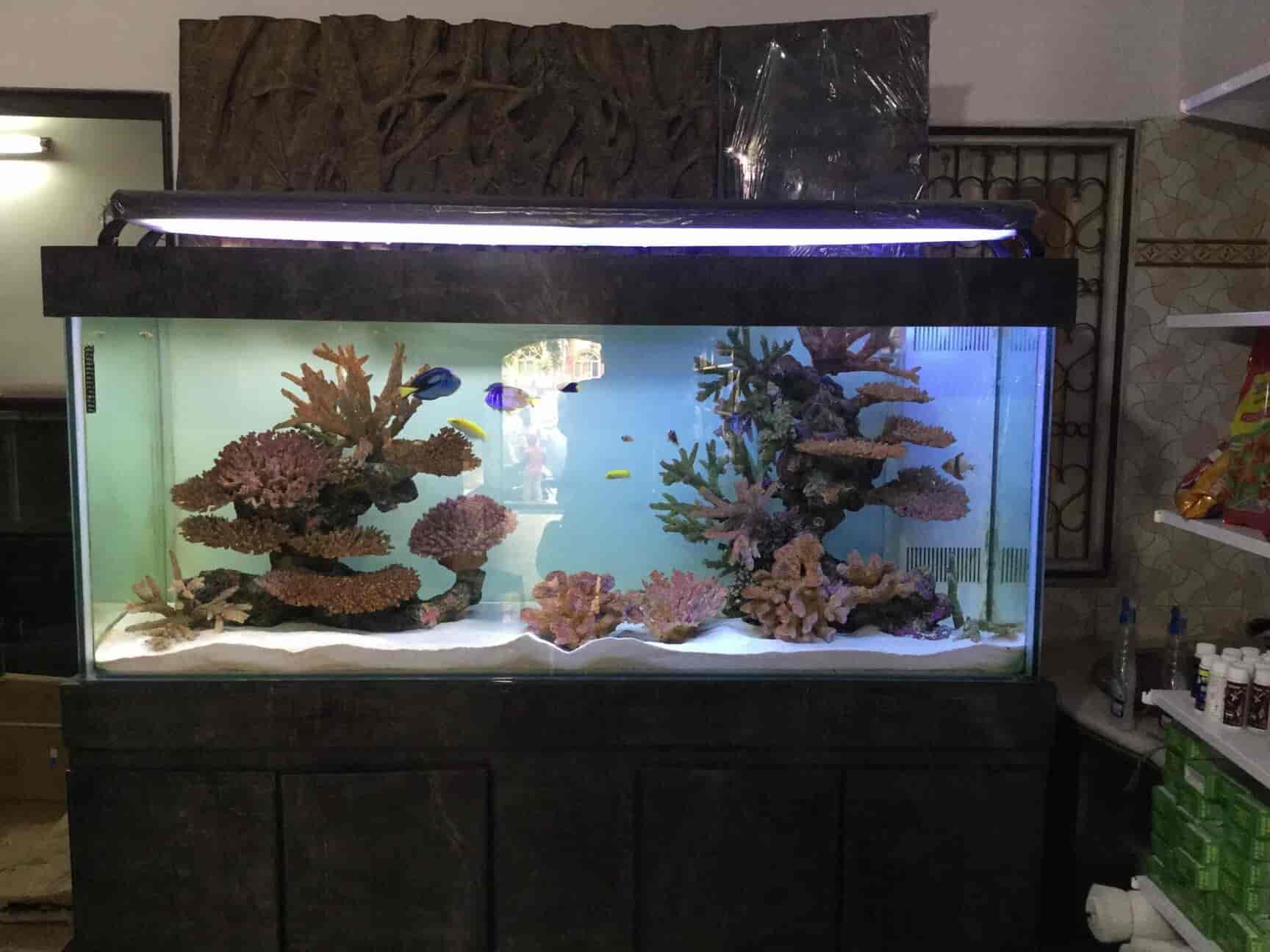 Umino aquarium top & pet shop