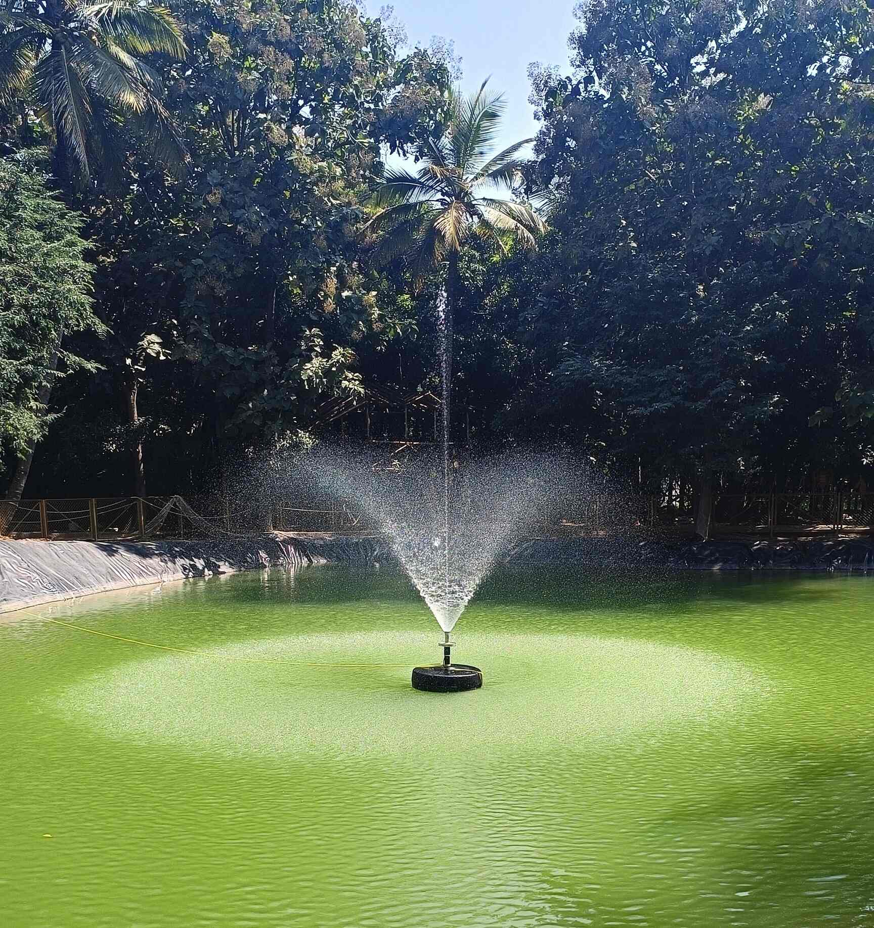 Shariff Fountains & Lightings in Nagarathpet,Bangalore Best Musical