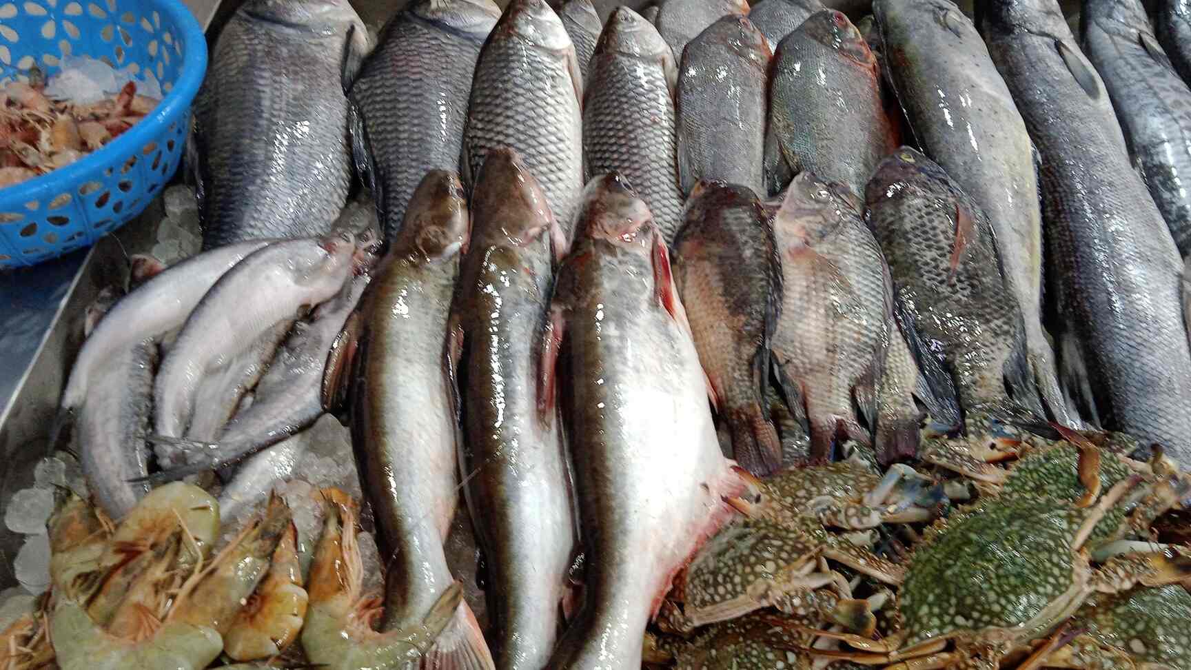 Top Dry Fish Retailers in Yelahanka, Bangalore near me Justdial
