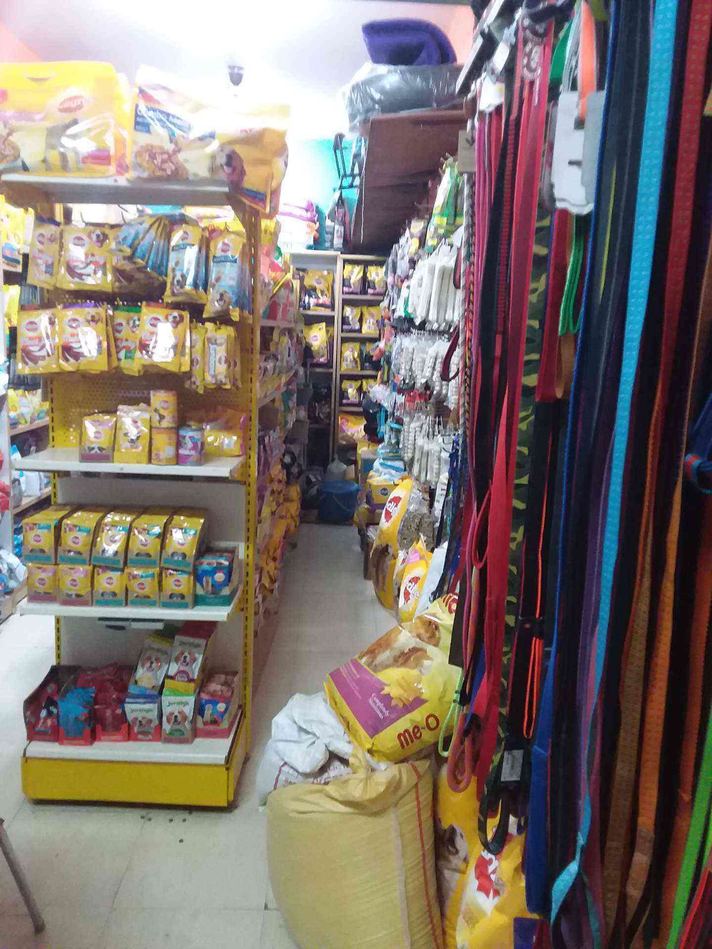 Pets Mart Vijayanagar in Vijayanagar,Bangalore Best Pet Shops in