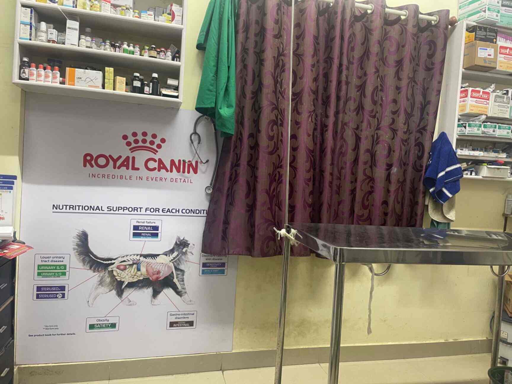 Top Pet Shops in Bangalore Best Pet Store near me Justdial