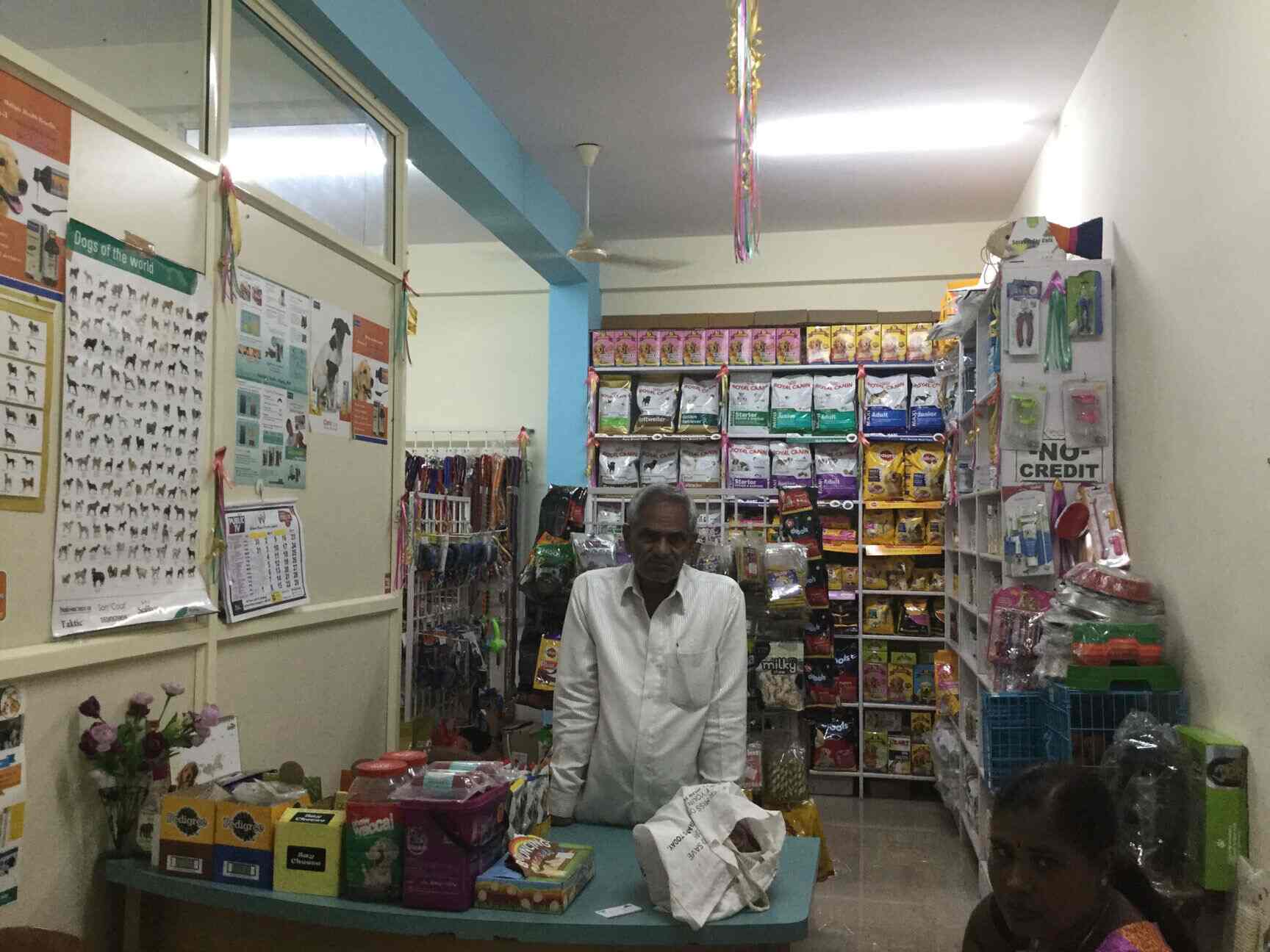 Top Pet Shops in Bangalore Best Pet Store near me Justdial