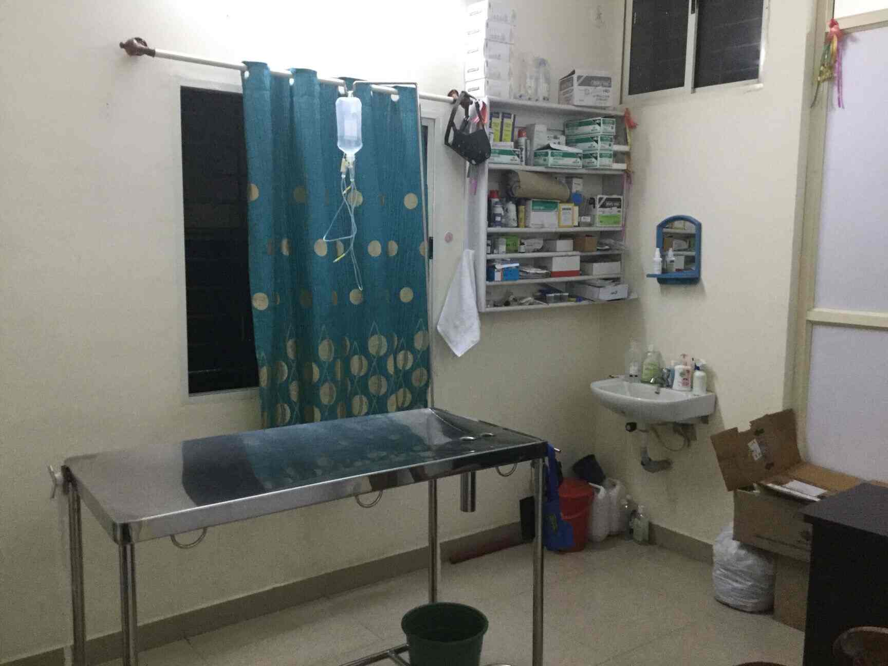 Top Pet Shops in Bangalore Best Pet Store near me Justdial