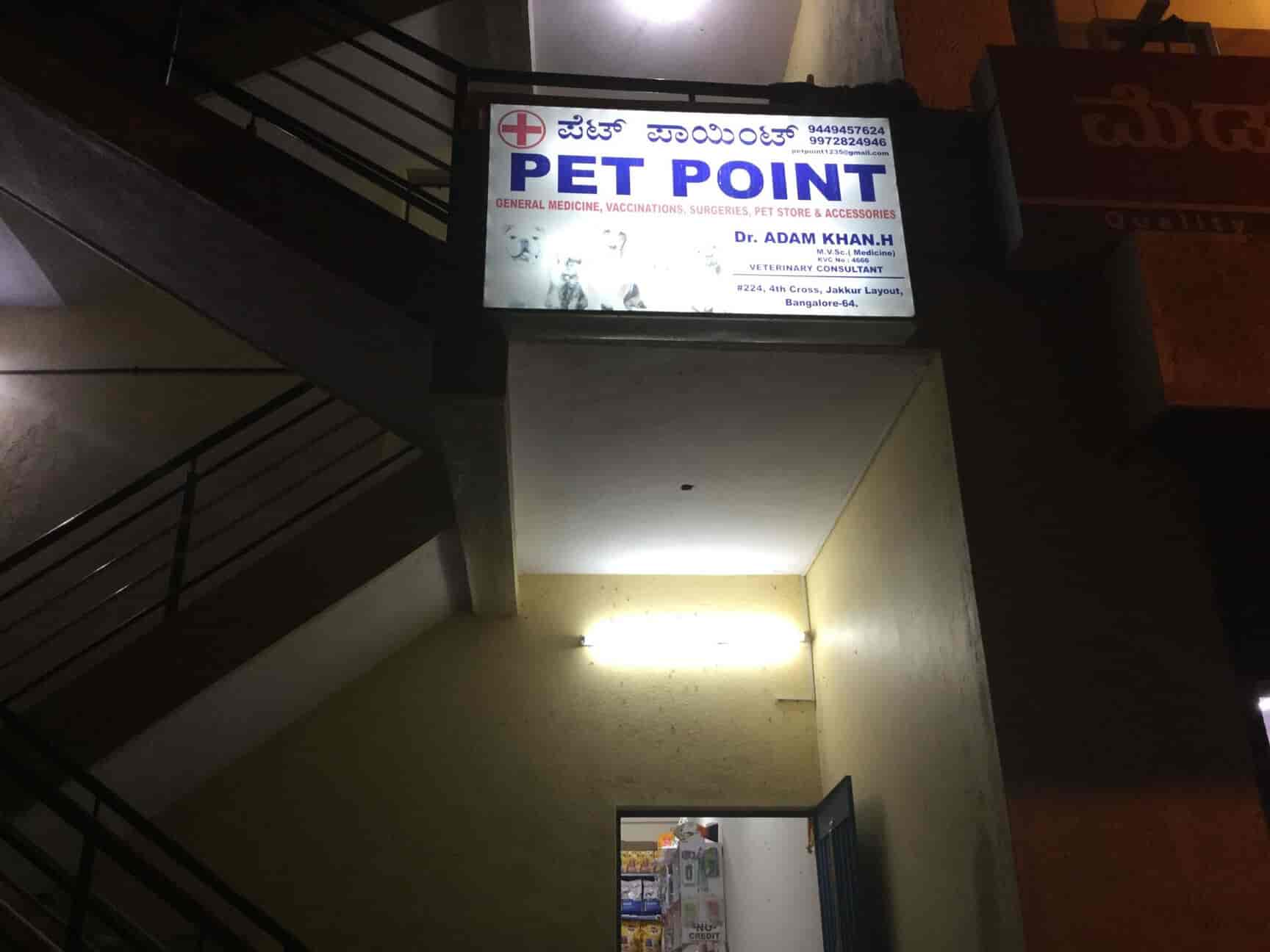 Top Pet Shops in Bangalore Best Pet Store near me Justdial