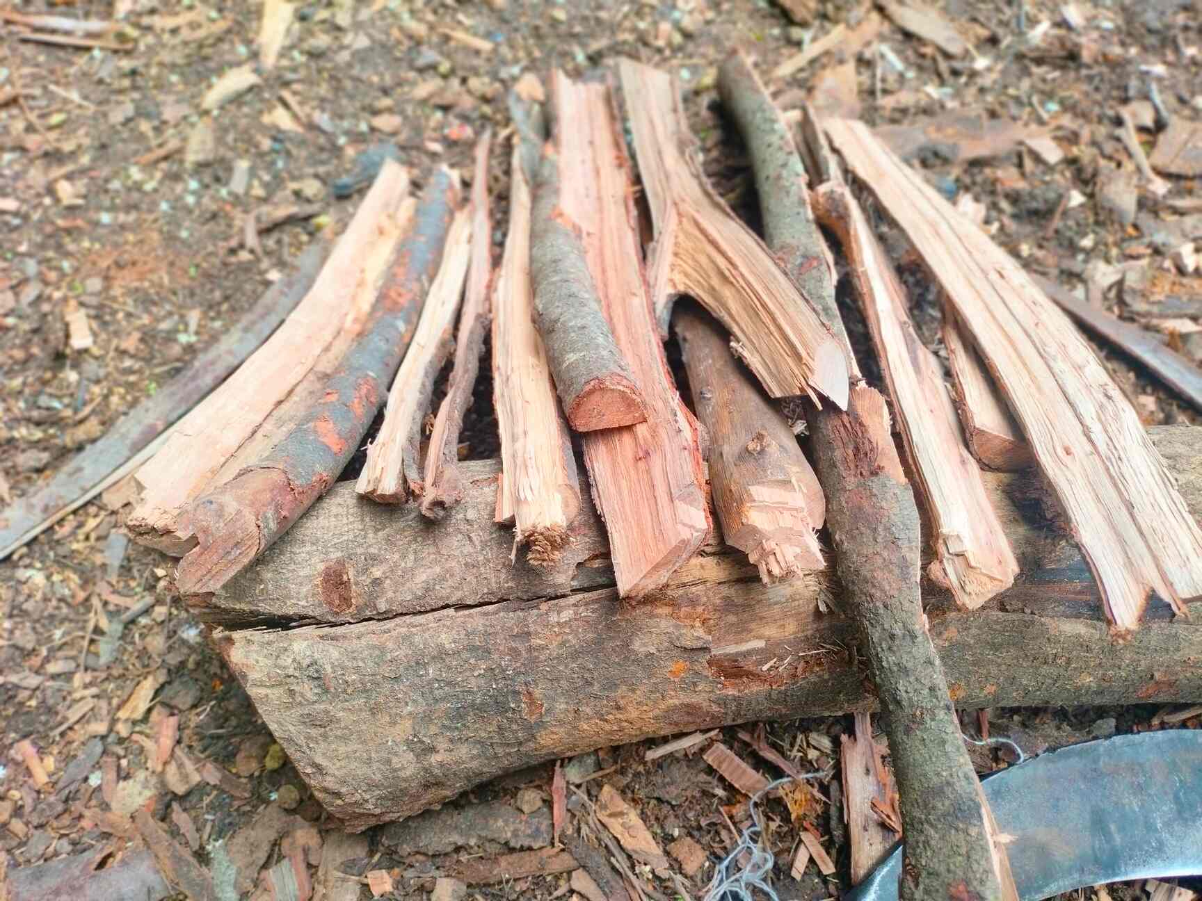 Firewood - Wood Logs Latest Price, Kindling Wood Dealers in , Bangalore -  फ़िरेवूड डीलर्स, बैंगलोर - Justdial